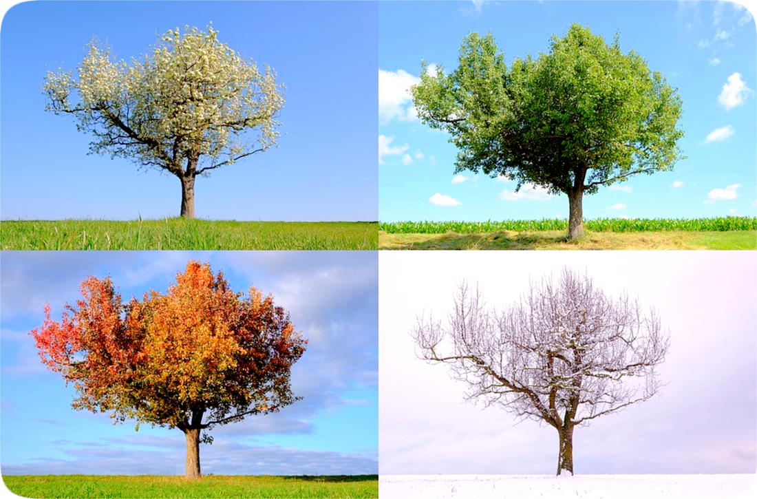 Enough - Blog Post | Wichita Falls Faith Mission | Homeless Shelters-Programs