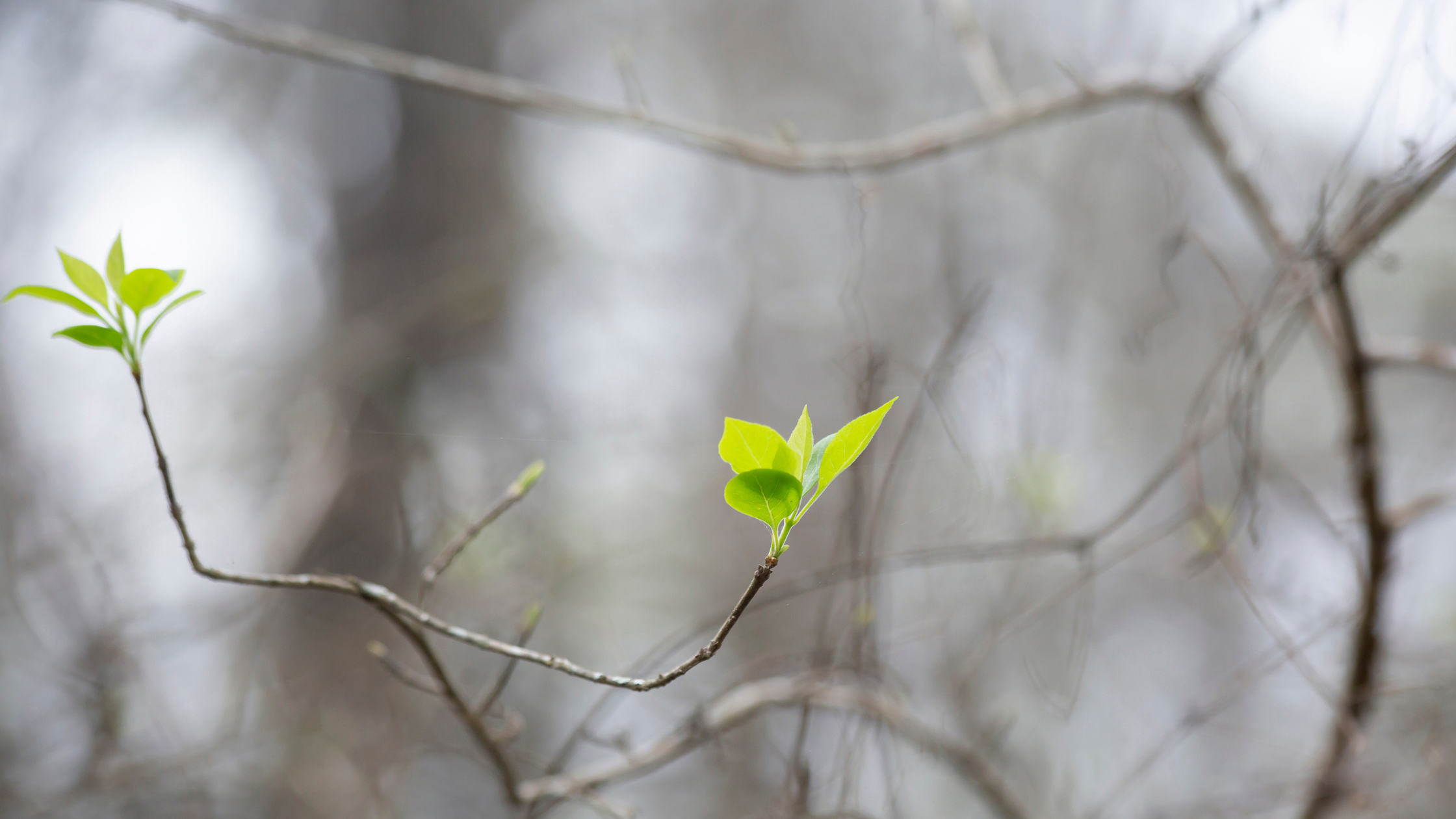 Renewed - Blog Post | Wichita Falls Faith Mission | Homeless Shelters-Programs