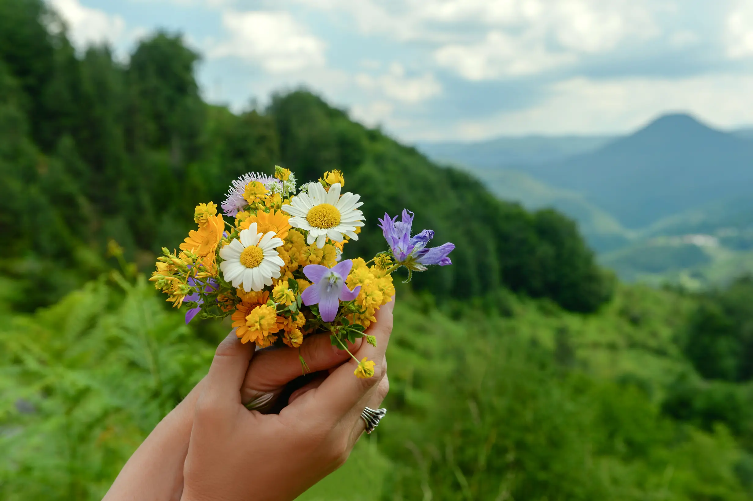 bouquet of wildflowers